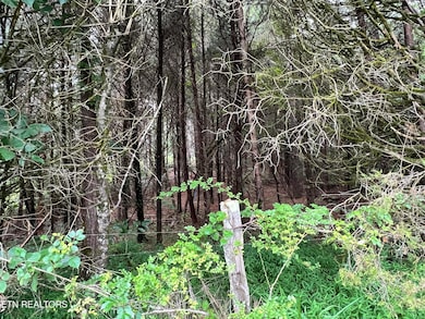 0 Wiley Prigmore Ln, Decatur, TN 37322 - photo 3