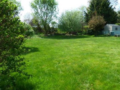 Yard/Garden.
