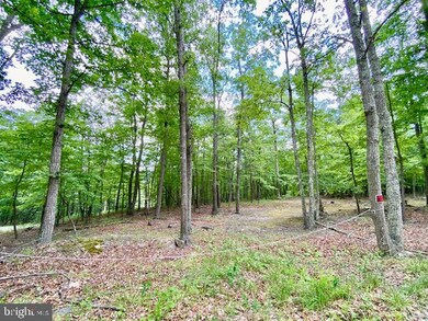 0 Lost River Ridge Cir unit WVHD2001560, Wardensville, WV 26851 - photo 3