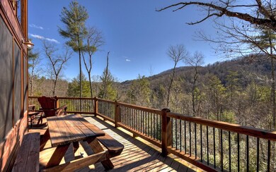 Additional View