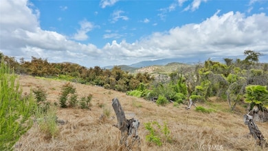 32515 Couser Canyon Rd, Valley Center, CA 92082 - photo 7