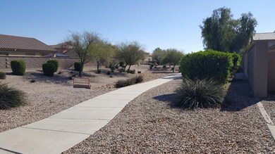 20170204_132941