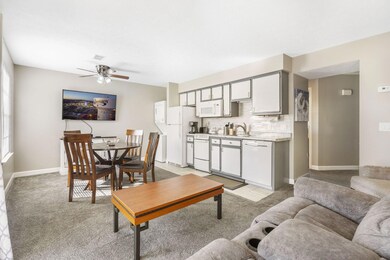 Living to kitchen