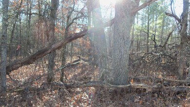 Lot 3 Ferry Rd, Grantsburg Township, WI 54840 - photo 4