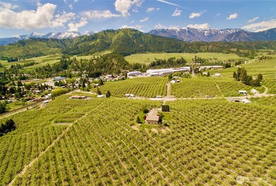 855 X Larson Rd, Peshastin, WA 98847 - photo 6