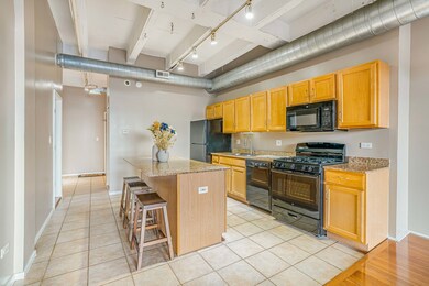 Rennaissance Place unit 318, Chicago, IL 60615 - photo 3
