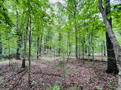 000 Boiling Springs Rd, Licking, MO 65542 - photo 2