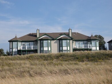 View from the Beach