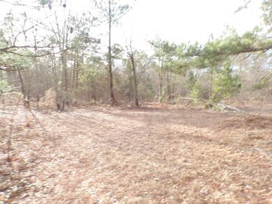 Great spot for your dream home