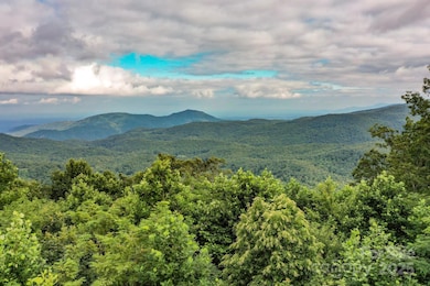 9999 High Cliffs Trail, Black Mountain, NC 28711 - photo 4