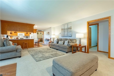 90480 Kilgore Ridge Rd, Scio, OH 43988 - photo 6