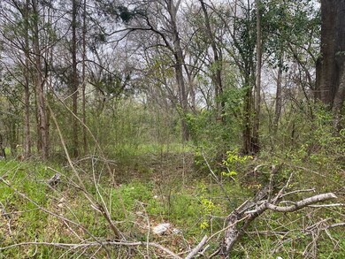 1917 Railroad, Nacogdoches, TX 75961 - photo 3