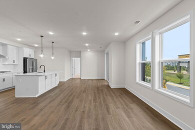 Birchwood at Brambleton unit 8-207, Brambleton, VA 20148 - photo 5