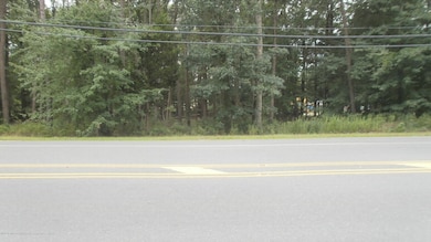 3921 Ridgeway Rd, Lakehurst, NJ 08759 - photo 2