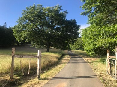 driveway spring