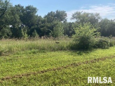 3808 229th Street Cir N, Port Byron, IL 61275 - photo 2