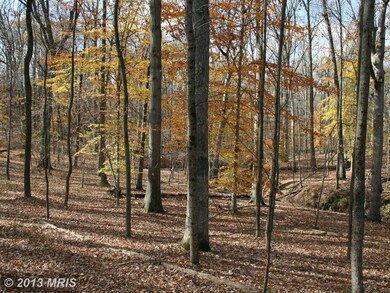 7120 Saunders Ct, Bethesda, MD 20817 - photo 4