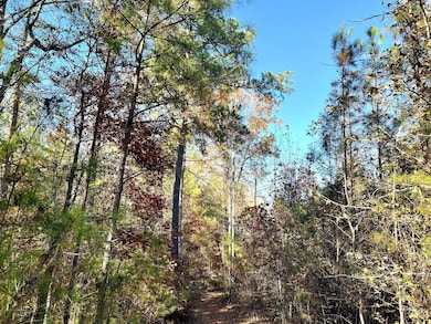 0 Rouse Rd, Weoka, AL 36092 - photo 5