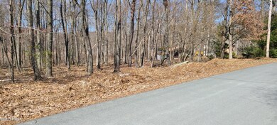 3804 Conashaugh Trail, Dingmans Ferry, PA 18328 - photo 4