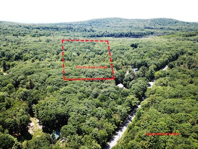 Lot225#2