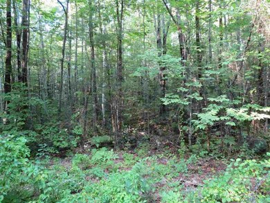 00 Poor Farm Ct unit 5, Wolfeboro, NH 03894 - photo 6