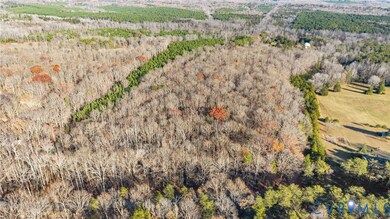 Lot 1 Dogtown Rd, Goochland, VA 23063 - photo 6