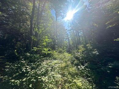 Off Indian Lake Rd, Michigamme, MI 49861 - photo 5