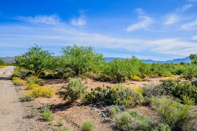 009 - 13637 E. Garigans Gulch