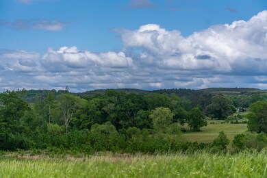 803 Bryant Rd, Cohutta, GA 30710 - photo 6