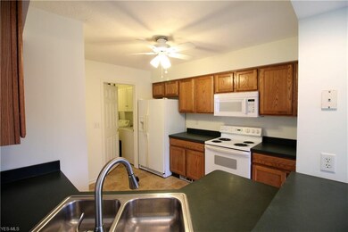 24600 Thicket Ln unit K26, Olmsted Falls, OH 44138 - photo 5