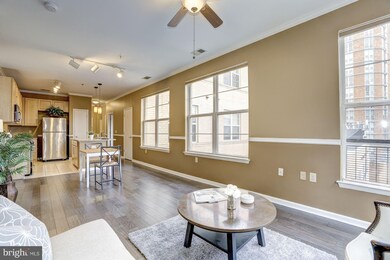 Silverton Condominiums, Silver Spring, MD 20910 - photo 6