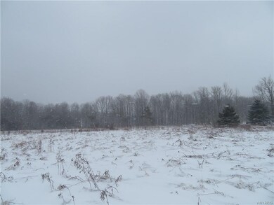 11686 North Rd, Freedom, NY 14065 - photo 6