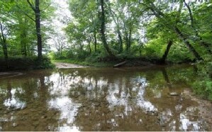 21+AC Mccamy Sumach Rd, Chatsworth, GA 30705 - photo 4