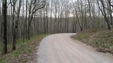 0 Fairview Ridge Rd, Creola, OH 45622 - photo 2