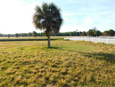 there's even a Palm Tree for you!