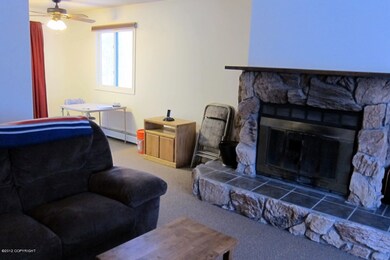 Wood Burning Fireplace