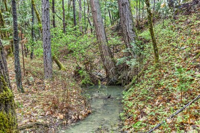 1935 Azalea Dr, Grants Pass, OR 97526 - photo 5