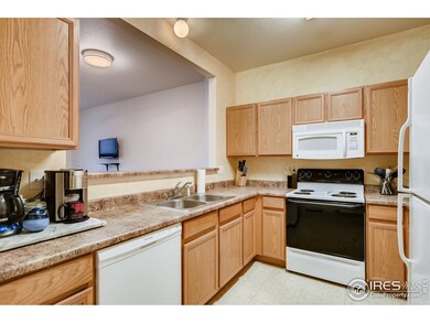 1736 Reilly Grove, Colorado Springs, CO 80951 - photo 3