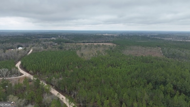 0 Off Doc McTier Rd unit 10656659, Baxley, GA 31513 - photo 7