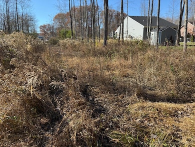 3498 Winter Holly Dr, Batavia Township, OH 45102 - photo 7