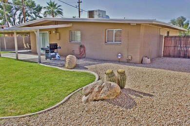 Shaw Butte Side Yard