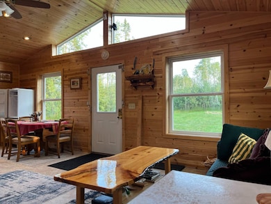 79900 Tar Paper Aly, Brule, WI 54820 - photo 5