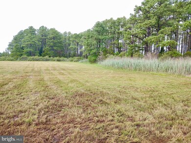 2257 Wingate Bishops Head Rd, Wingate, MD 21675 - photo 5