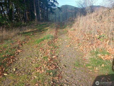 167 Wagner Rd, Kelso, WA 98626 - photo 6