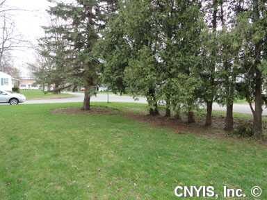 Yard/Garden