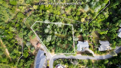 Drone View