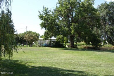 Beautiful yard