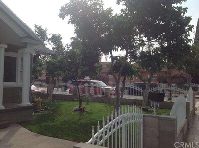 Fruit trees 