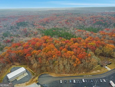 0 Hogan Pond Ln unit 10652509, Ball Ground, GA 30107 - photo 5