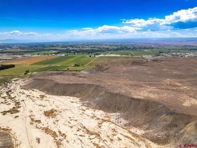 TBD 1375 Rd, Delta, CO 81416 - photo 4